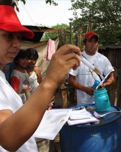Ya son m�s de 80 los casos confirmados de dengue en la provincia