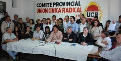 La UCR advierte a los peronistas sobre �el sin escr�pulos� de Bergia 