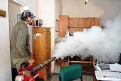 Alerta ante el probable caso de dengue en el microcentro