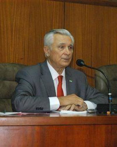 SAN MARTIN - voskus abri� el per�odo de sesiones del Concejo Deliberante