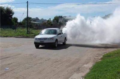 Intensifican tareas de fumigaci�n contra plagas urbanas