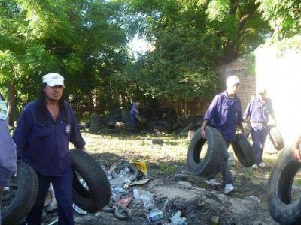 Dengue: El Gobierno alerta sobre un �alt�simo riesgo regional�