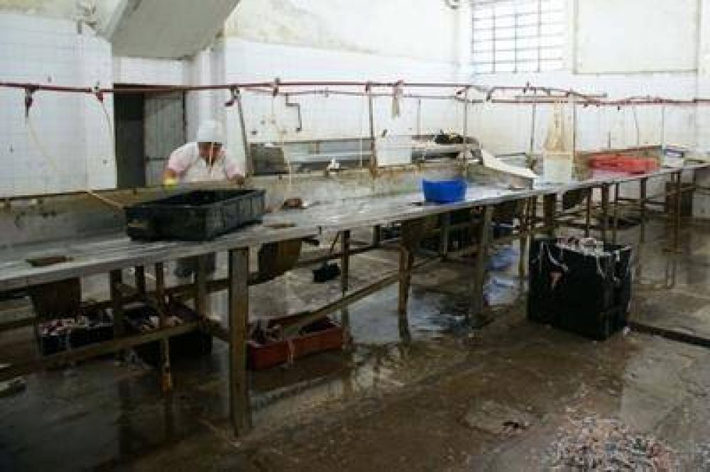 Clausuran otra planta de pescado