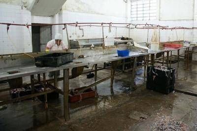 Clausuran otra planta de pescado