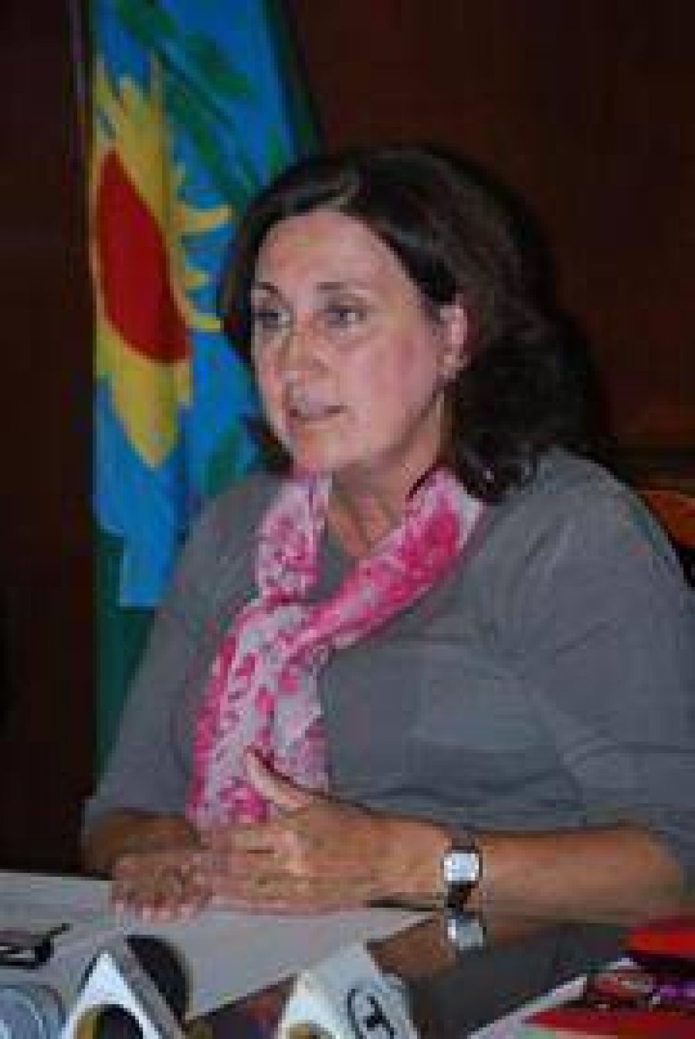 LA INTENDENTA ADVIRTI� SOBRE USURPACIONES Y VENTAS IRREGULARES DE LOTES