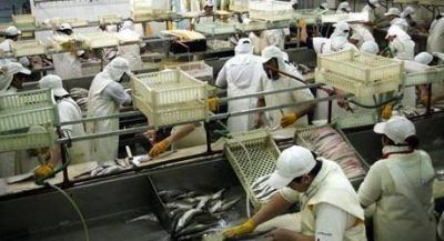 Trabajadores de la pesca paralizan la actividad