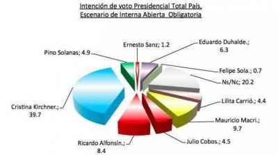 Una encuesta explica porque Cristina est� ganando la elecci�n