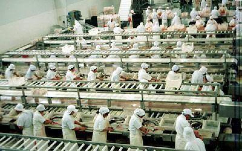 Son cinco las plantas pesqueras que sobrevivieron a la crisis