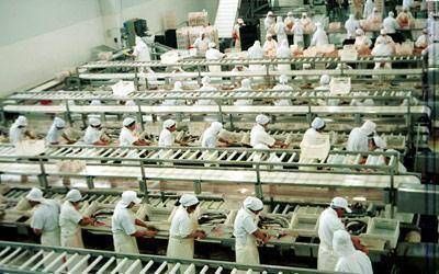 Son cinco las plantas pesqueras que sobrevivieron a la crisis