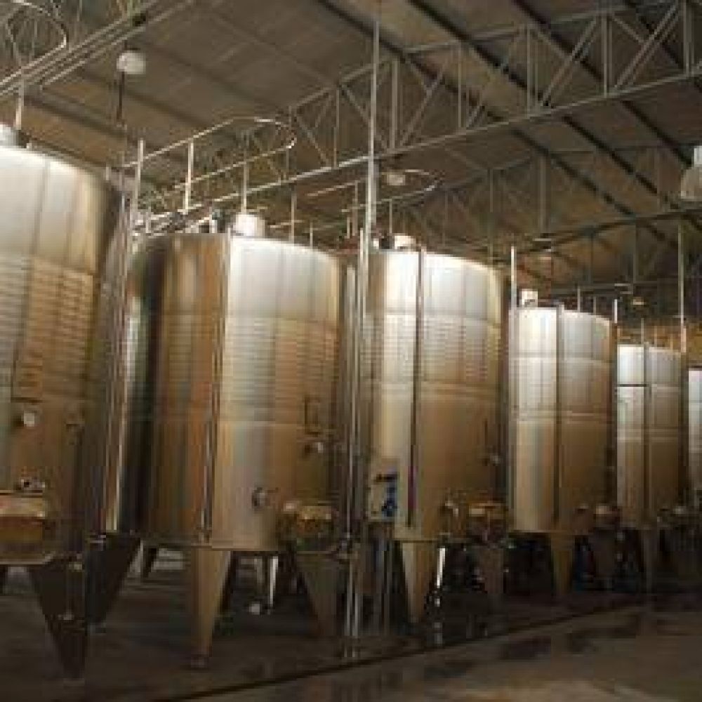 Importante proyecto municipal vitivin�cola posicionar� a Hualf�n en el nivel nacional 