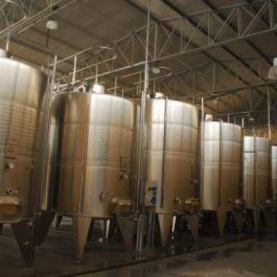Importante proyecto municipal vitivin�cola posicionar� a Hualf�n en el nivel nacional 