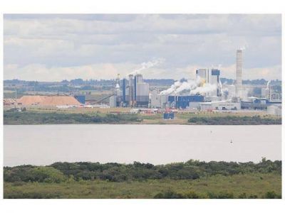 Cient�ficos realizaron un simulacro de monitoreo en la pastera ex Botnia
