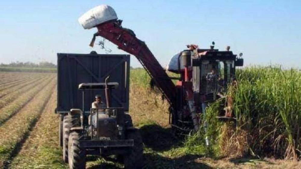 Preocupa al Gobierno el inicio conflictivo de la zafra azucarera