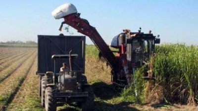 Preocupa al Gobierno el inicio conflictivo de la zafra azucarera