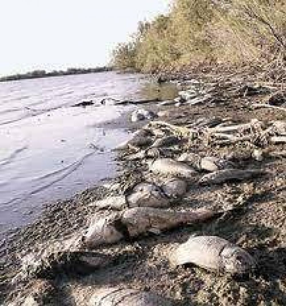 Demandan penalmente a Tucum�n e industriales por contaminaci�n
