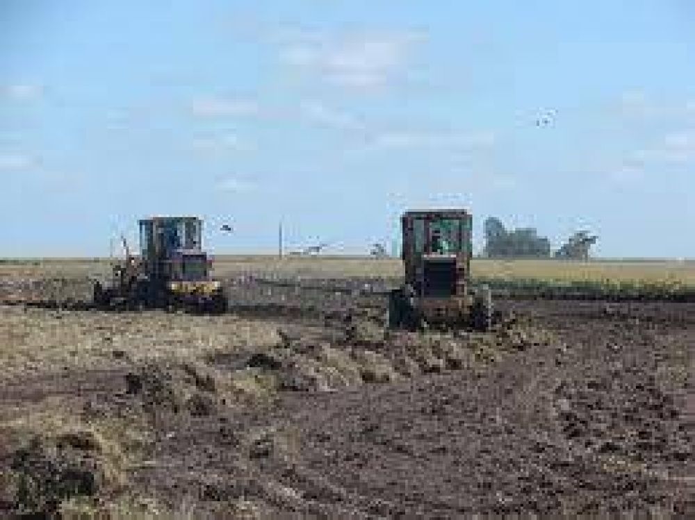 Avanza el alteo del terreno para construir el Camino Costero hasta la Ruta 188 