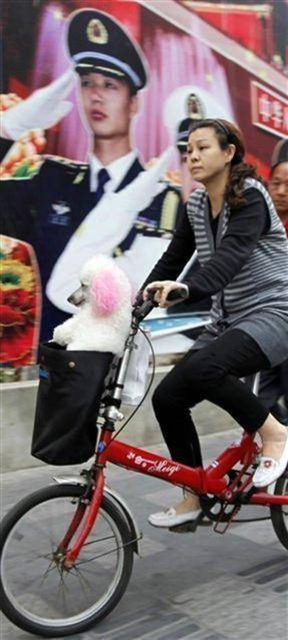 China ahora tambi�n tiene la pol�tica del perro �nico
