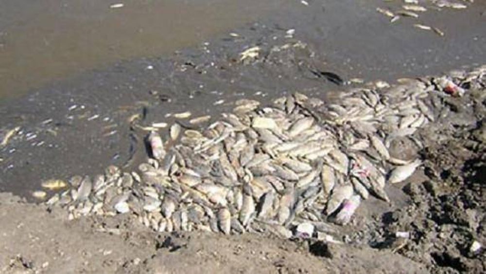 Santiago del Estero ser� querellante por la contaminaci�n de la cuenca Sal�-Dulce 