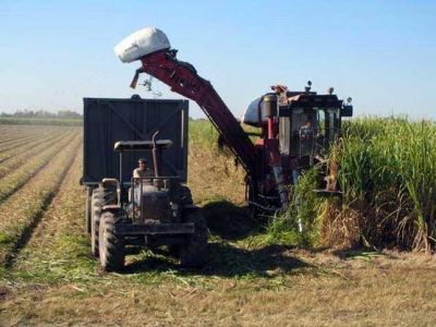 Entregar�n alrededor de $5 millones a organizaciones ca�eras
