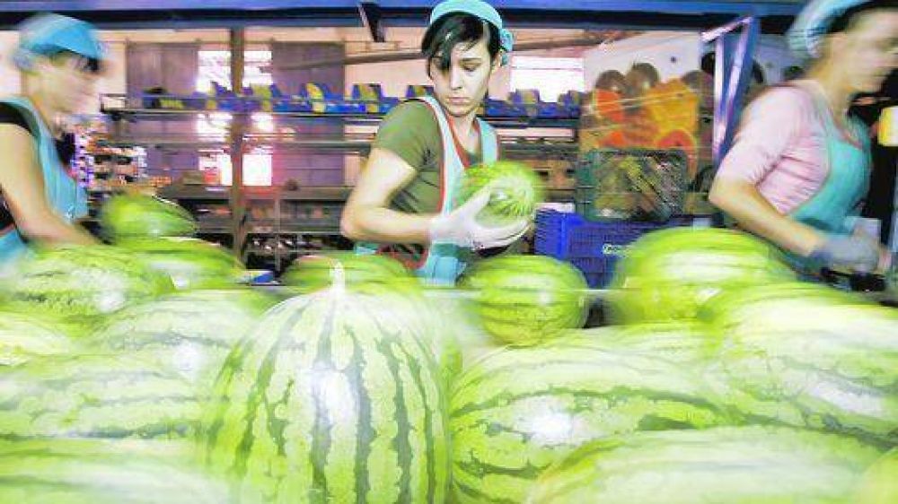 Ya hay 16 muertos por pepinos contaminados: alarma en Europa