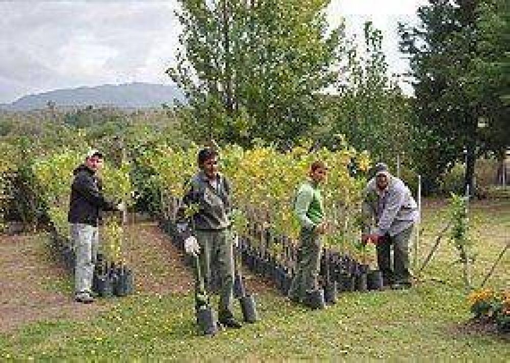  Inaugurar�n un vivero municipal en Juana Koslay