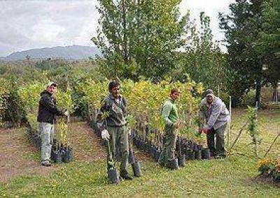  Inaugurar�n un vivero municipal en Juana Koslay