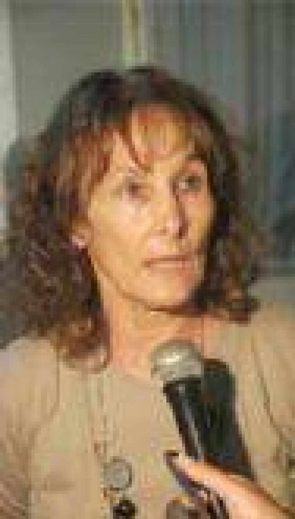 POR LA FALTA DE CONSENSO ENTRE DIPUTADOS NO HUBO DICTAMEN POR SALTA FORESTAL