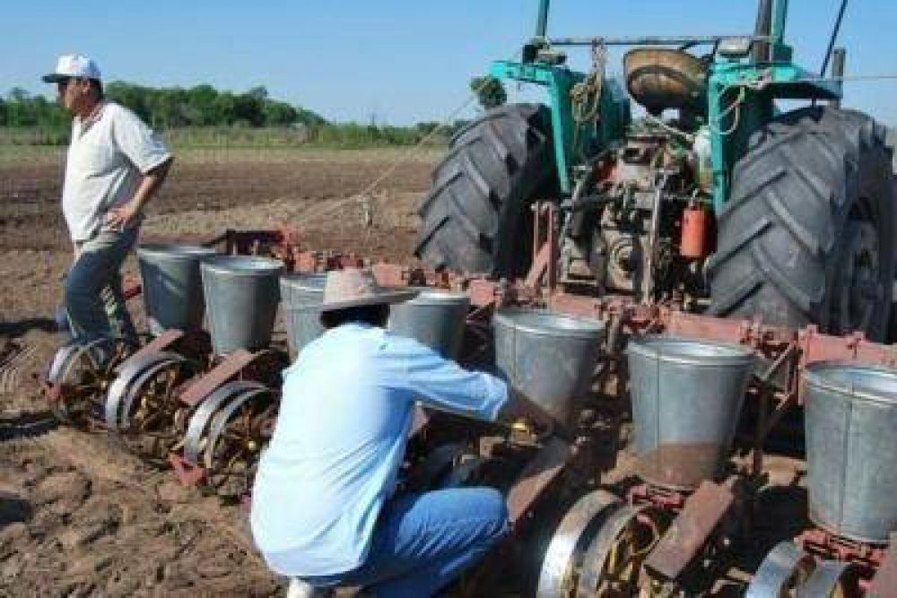 Resaltan el potencial de la agricultura en lo econ�mico, social y ambiental