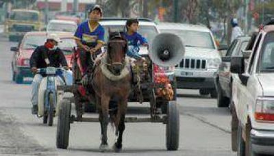 SE CONTROLAR� EN LA CAPITAL A LOS CARROS TRACCIONADOS POR ANIMALES