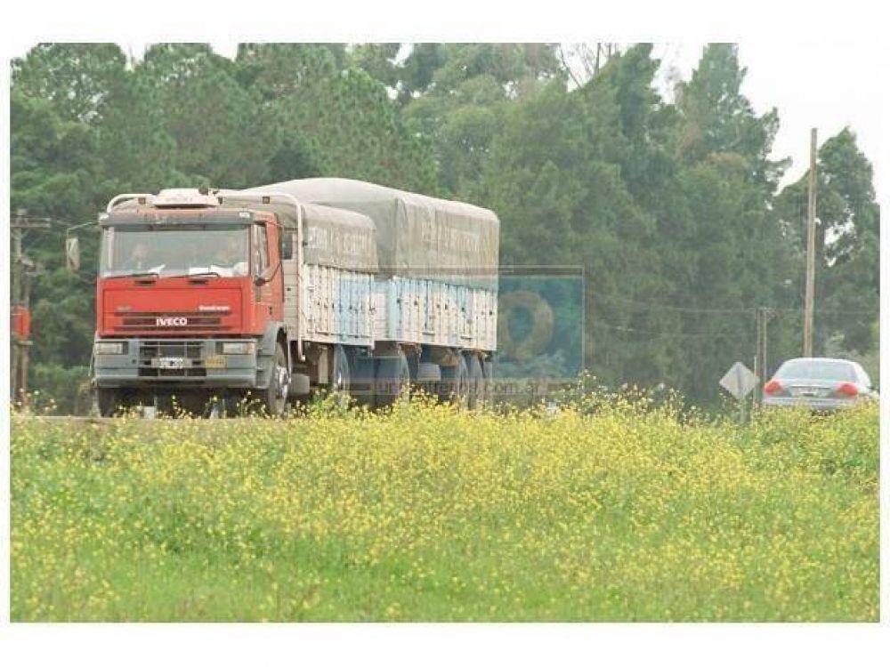 Flexibilizan las restricciones de la circulaci�n de camiones en junio y julio