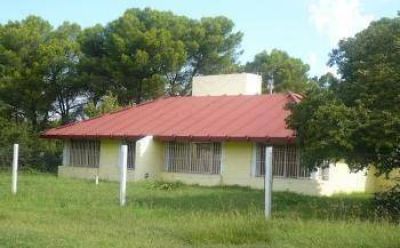 Bienestar Social paga �sueldos� a trav�s de subsidios
