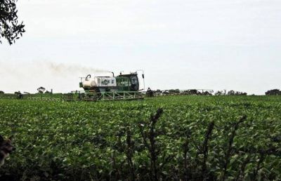 Denunciaron fumigaciones a veinte metros de viviendas