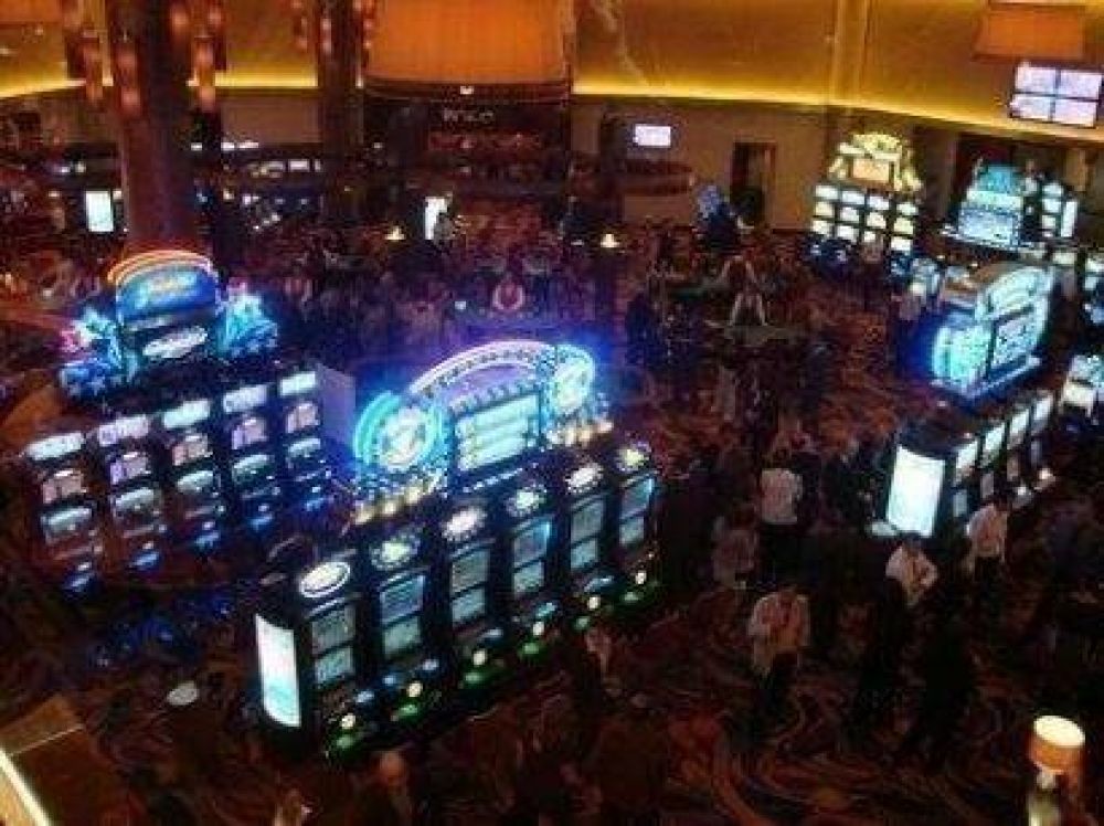 Insiste Maglietti con proyecto para regular el juego de azar