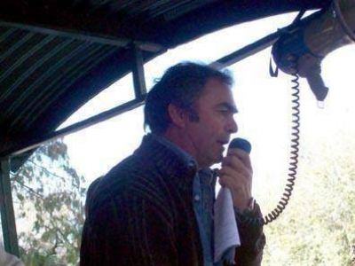 Ledesma y Arana comercializ� 1.300 vacunos