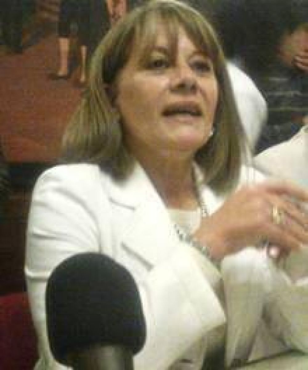 Fuertes cuestionamientos a la candidatura de Alicia Lemme