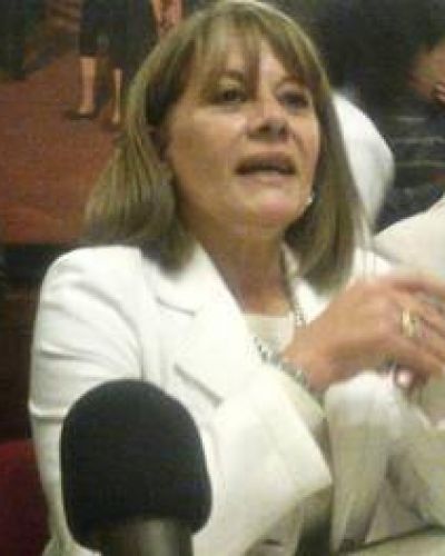Fuertes cuestionamientos a la candidatura de Alicia Lemme