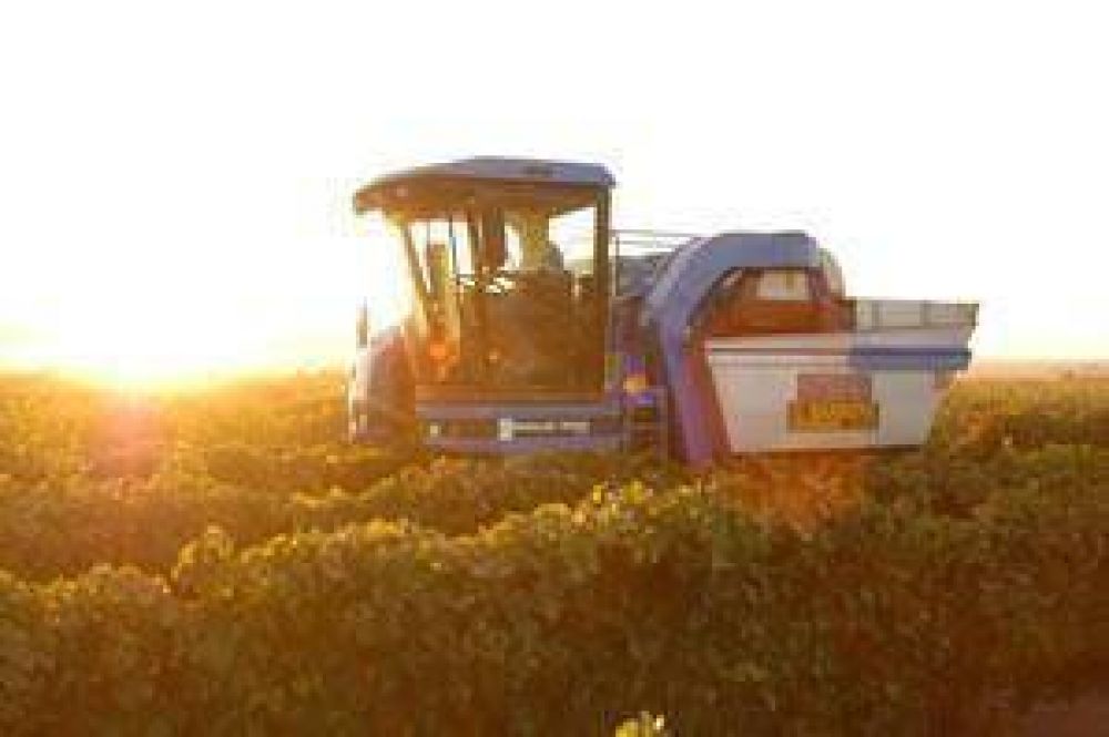 Grupo Phr�nesis invierte u$s 2,5 millones en un proyecto vit�cola