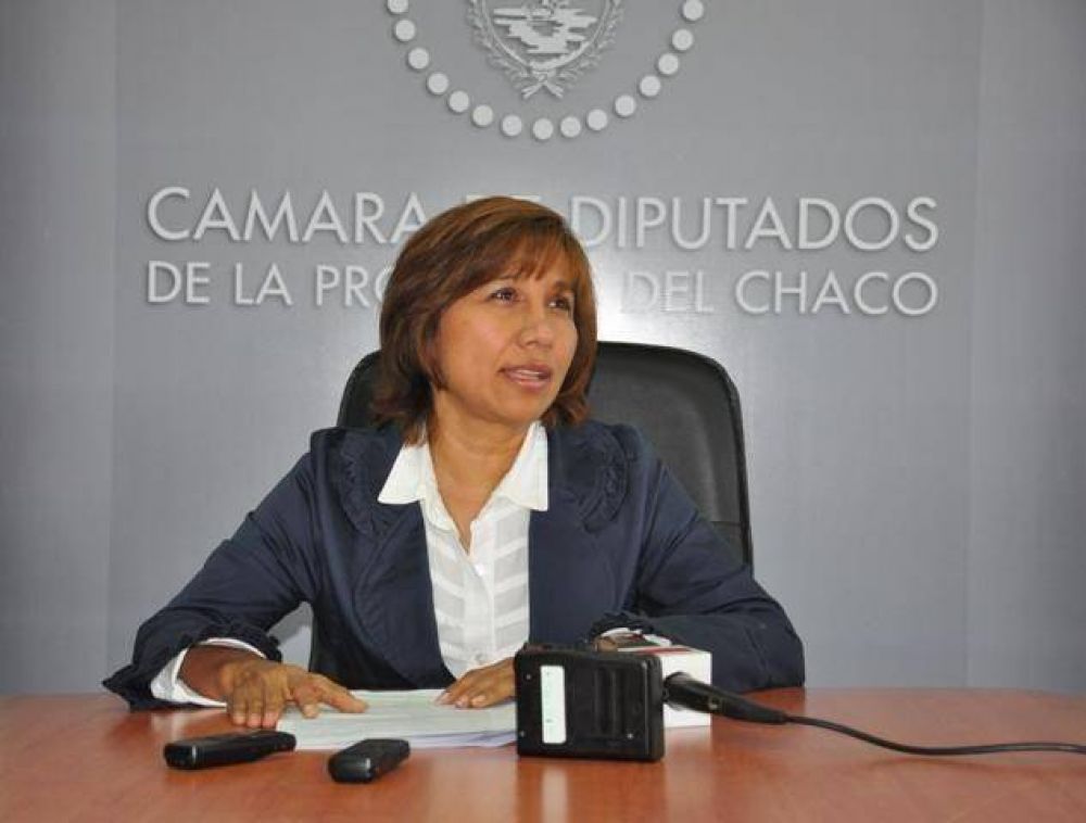 Clelia Avila, la �nica mujer radical que encabeza listas