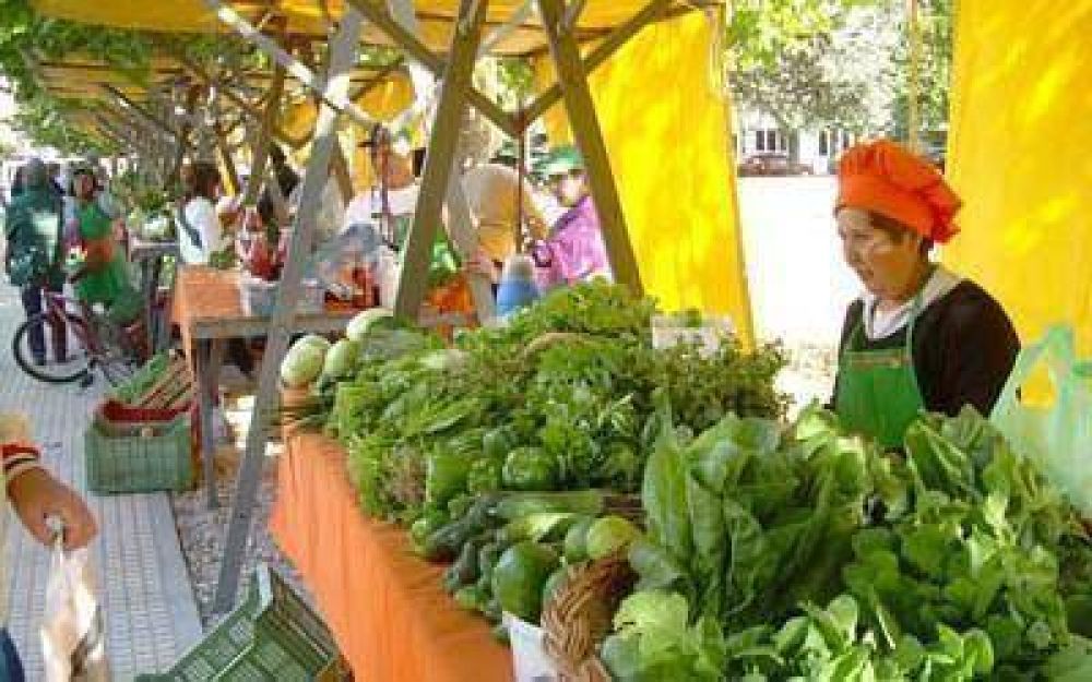 Denuncian fumigaciones durante desarrollo de la Feria Verde