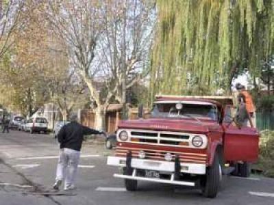 El Municipio poda las ramas de los �rboles que molestan a los vecinos