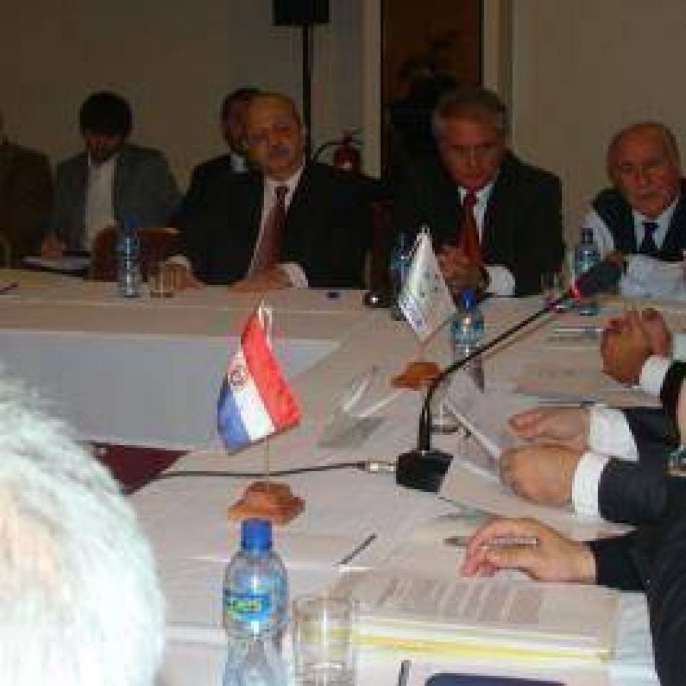 Brizuela en la Cumbre del Mercosur, que calific� de �males cr�nicos� los problemas de integraci�n