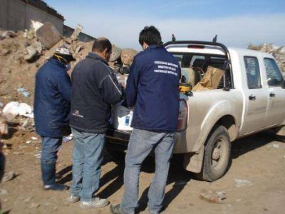 Campa�a de desratizaci�n en el basural a cielo abierto 	