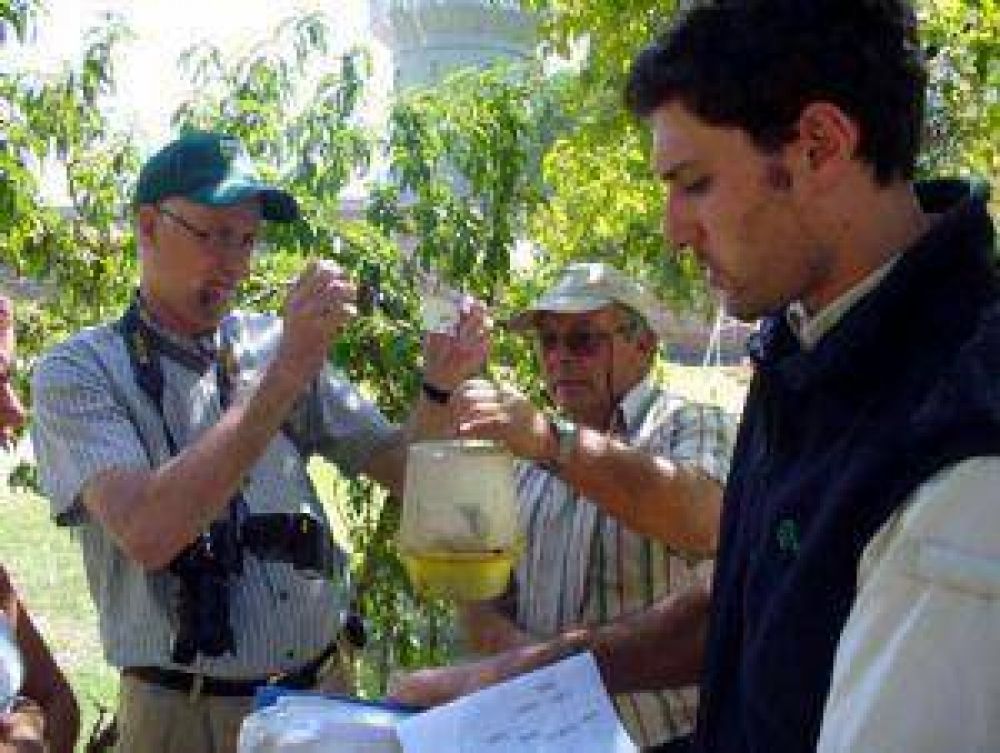 La mosca del Mediterr�neo frena el ingreso de frutas locales a Estados Unidos