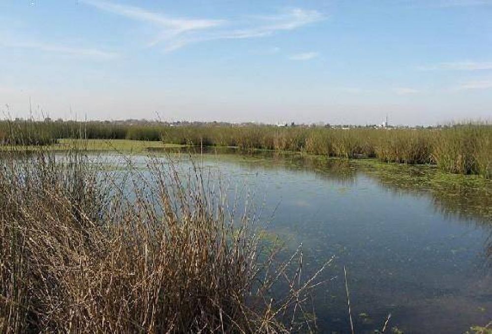 El predio Santa Catalina ya es reserva natural en Lomas  