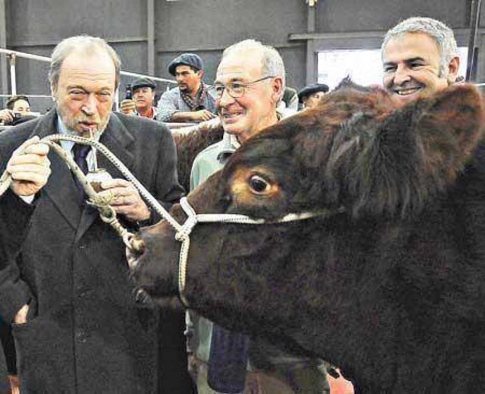 El rostro de la abundancia