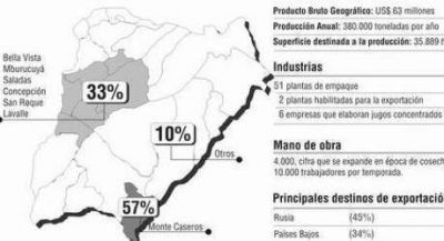 Exportaci�n de c�tricos correntinos, en uno de sus peores momentos