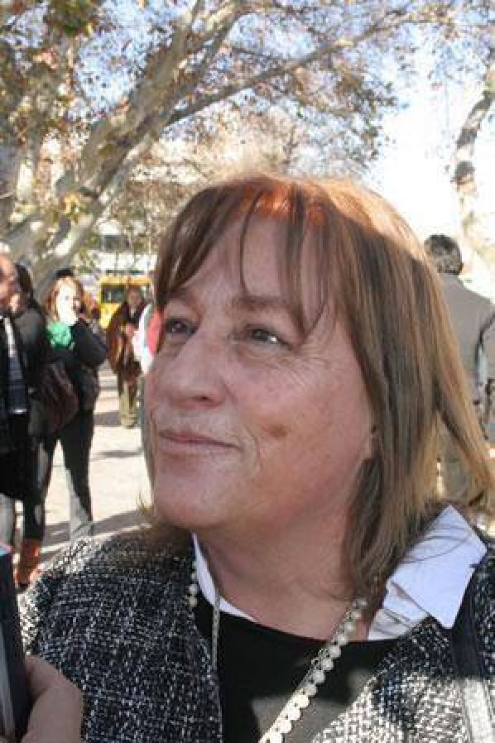 Luc�a G�mez, diputada: La importancia de concentrar informaci�n	