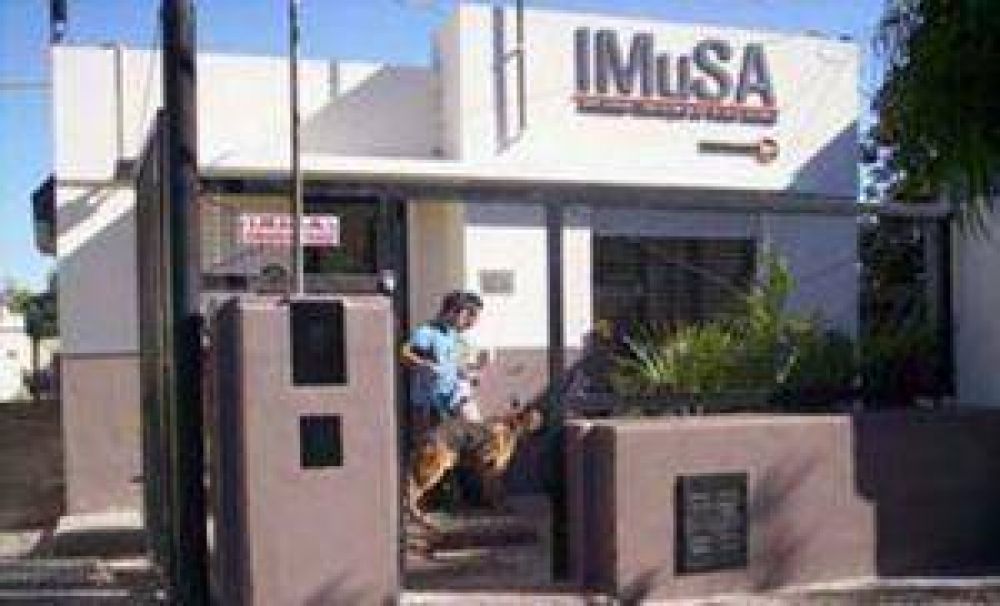 Proponen la creaci�n del Instituto Municipal de Salud Animal 