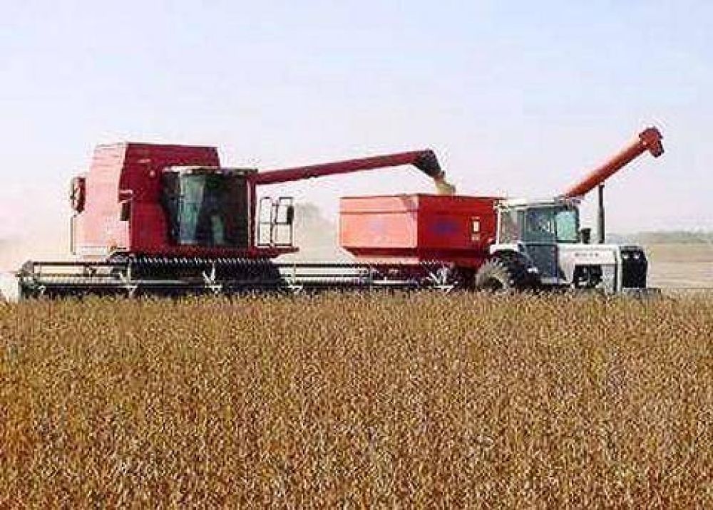 Editorial:La superficie cultivada con soja triplica al resto de las producciones