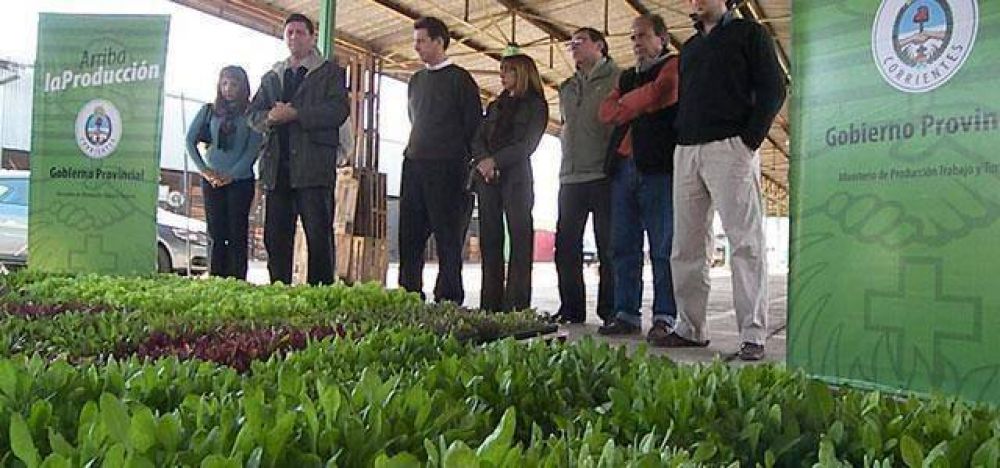M�s de 60 mil plantines entreg� el Gobierno a productores en Capital 
